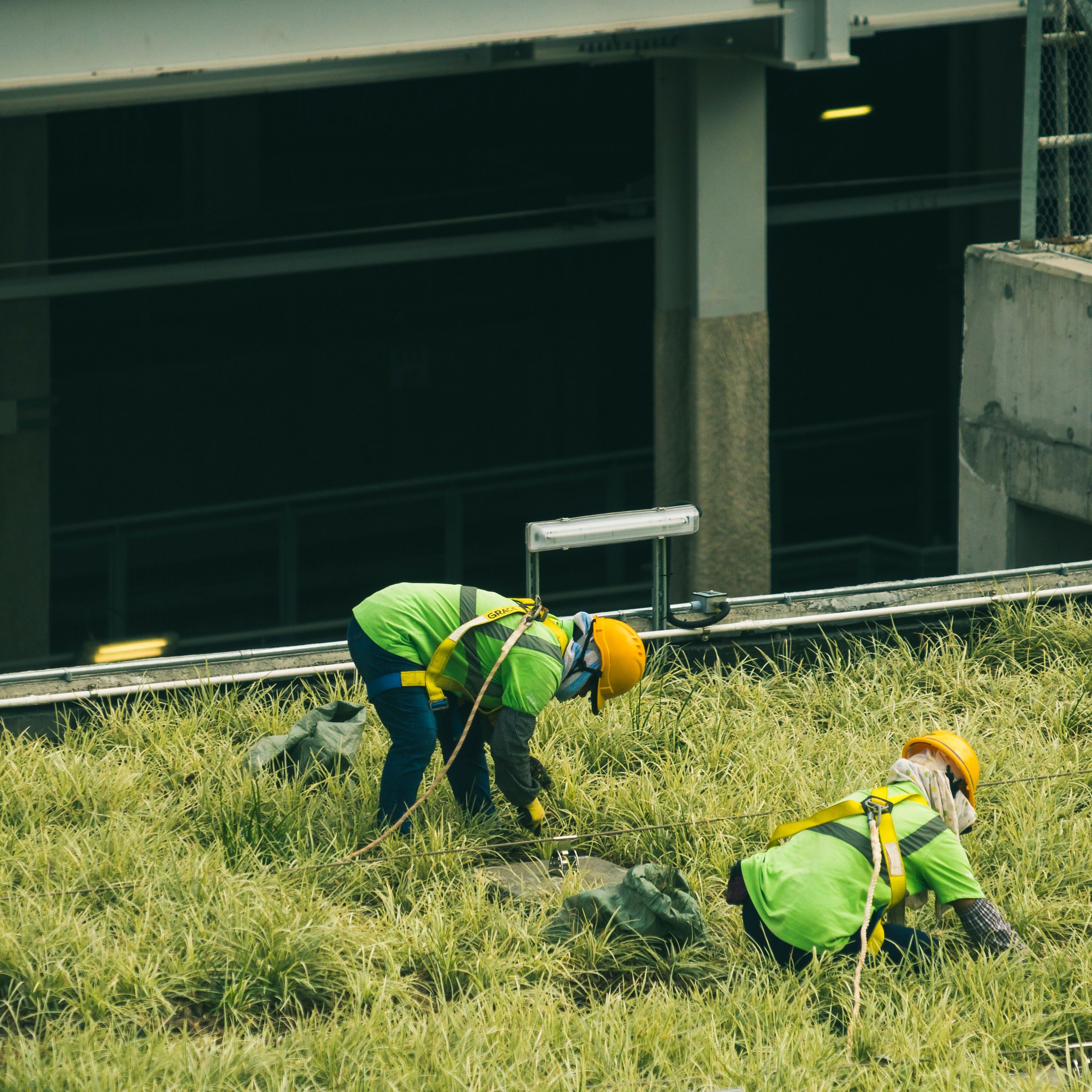 Two landscaping crew members in high-visibility vests maintaining grass on a commercial property